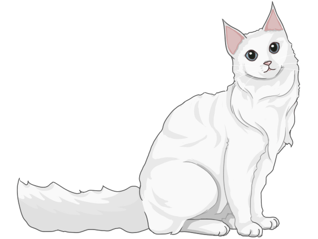 白いネコ　白猫イラスト