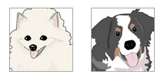 ペットの薬 犬と猫